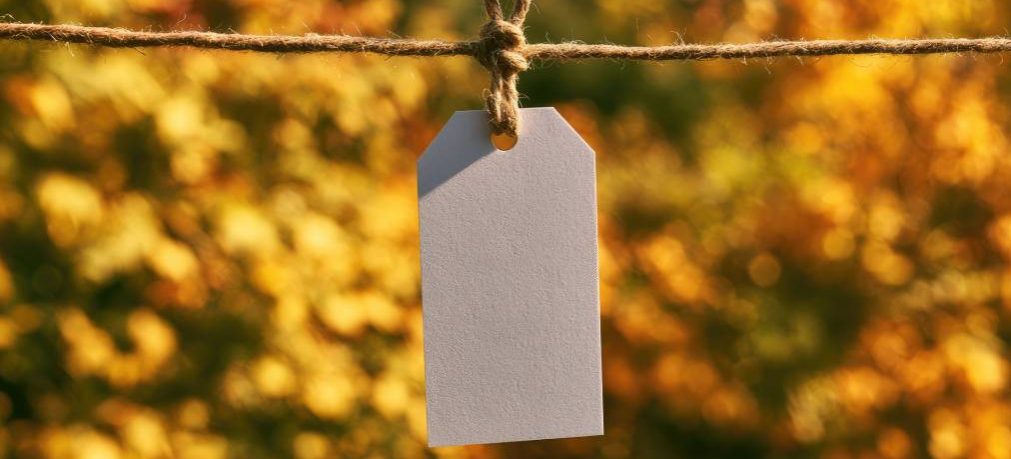 A blank white tag hangs from a clothesline, secured by a clothespin, with a blurred backdrop of vibrant autumn leaves.