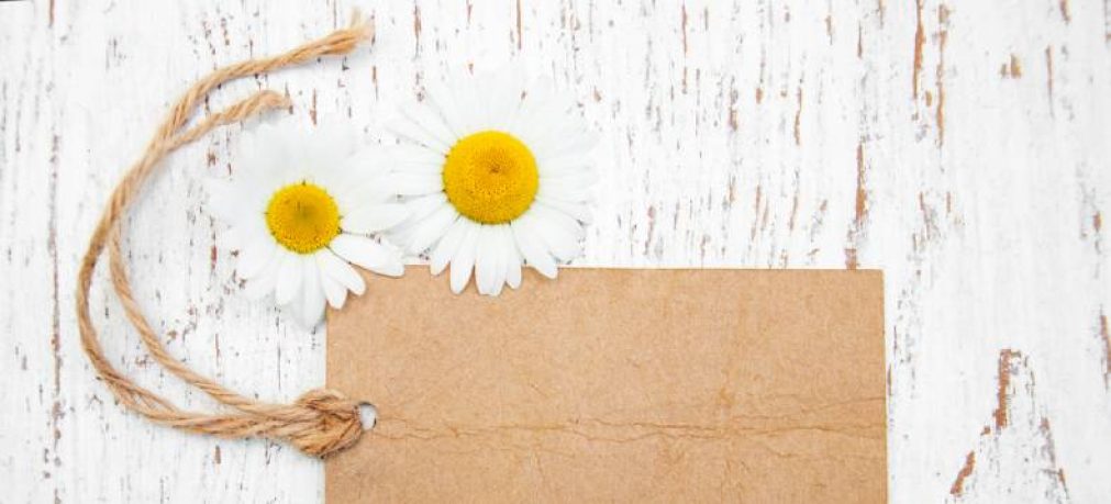 spring-2027-colors-labels